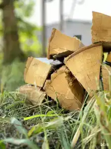 База отдыха у Петропавловского озера - 8