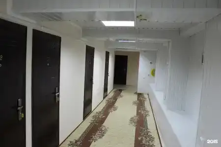 Кедр - 2