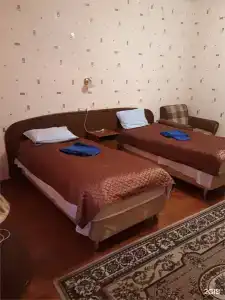 Пушкин - 101