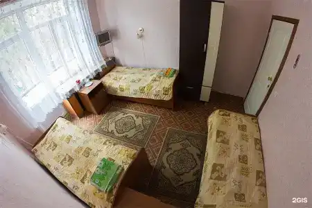 Сосны - 114