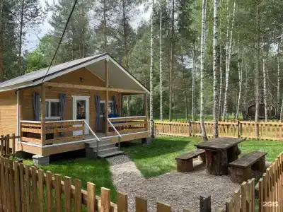 Золотой Куркозель - 17