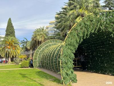 inSochi  - 26