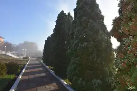 Вишневая поляна - 35