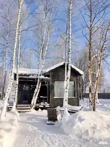 Берёзовка - 35