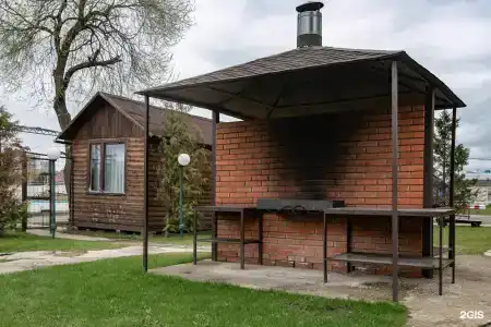 Чайка - 50