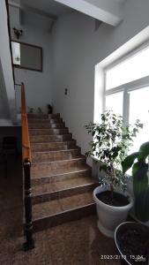 Art House - 15