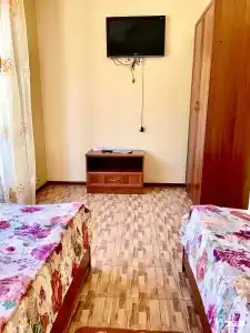 Березка - 67