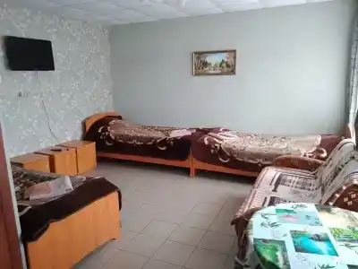 Феникс - 45