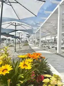 Ola resort - 27