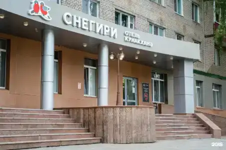 Снегири - 2