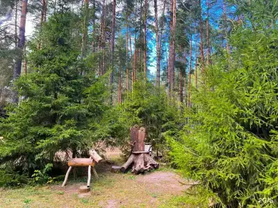 Черепашьи Озёра - 21