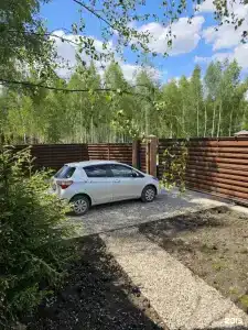 Рыжий лис - 72