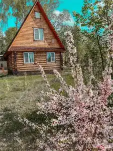 База отдыха Лазурный берег - 259