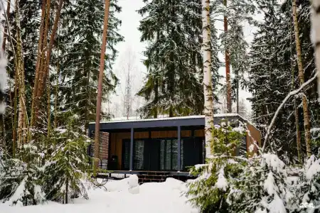 Cosmos Красное Озеро - 145