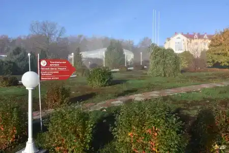 Вишневая поляна - 5
