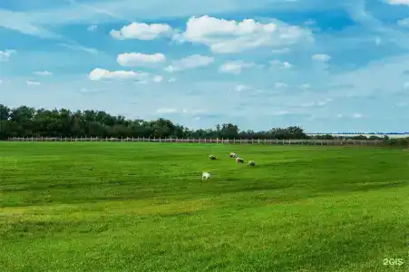 Скорняково-Архангельское - 202