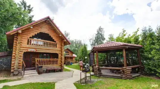 Чайка - 41