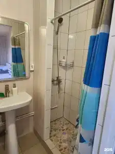Сайма - 203