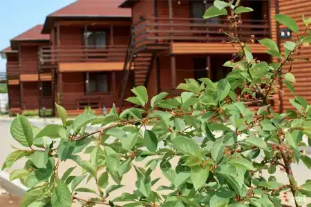 Алые паруса - 170