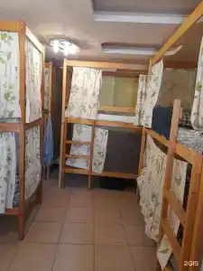 Свои - 429
