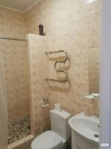 Светлана - 107