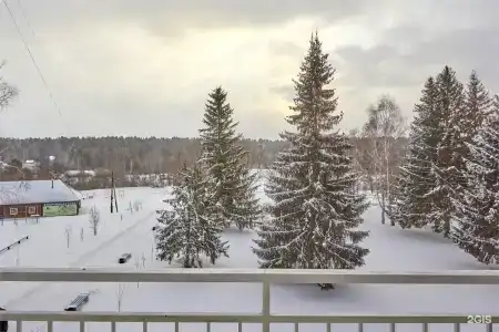 Сосновый бор - 171