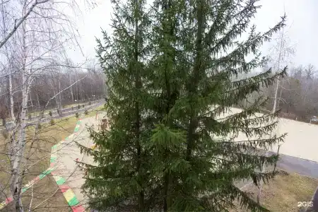 Ливадия-Татарстан - 274