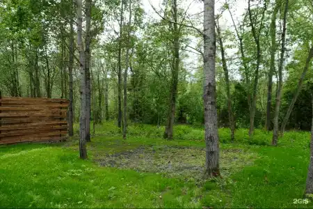 Мой маленький лес - 80