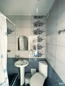 Киви и Цитрус - 88