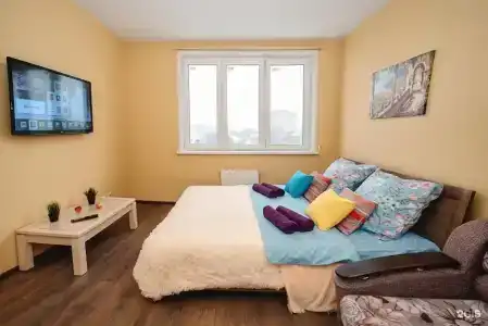 Евродвухкомнатные апартаменты Houseday рядом с Автовокзалом - 3