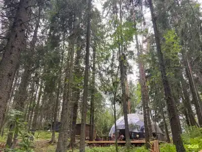 Villy Uley Karelia (Вили Улей Карелия) - 2