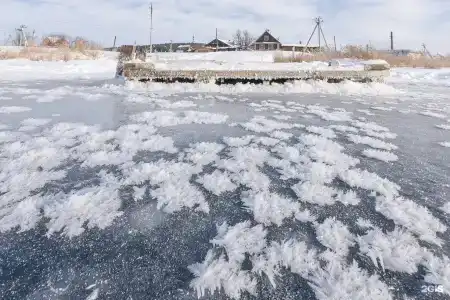Медведь - 123