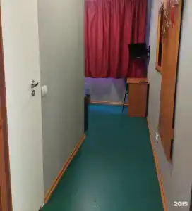 Снегири - 29