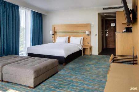 Radisson Blu Hotel - 65