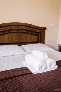 Киви и Цитрус - 101