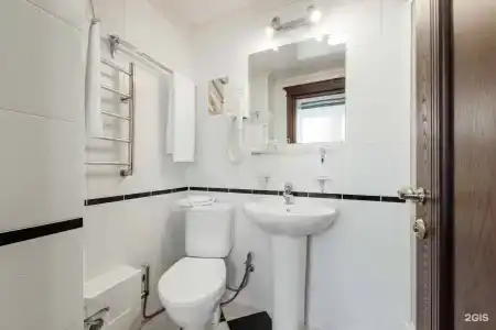 Дельфин - 102