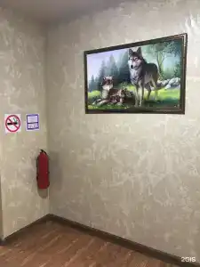 МД - 8