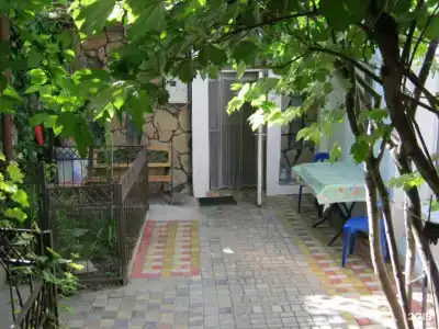 Зелёный дворик - 20