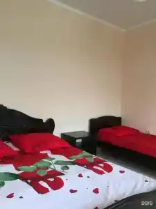 Стелла - 1