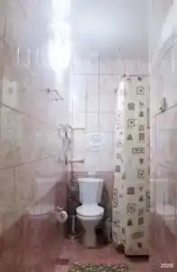 Кедровый бор - 42