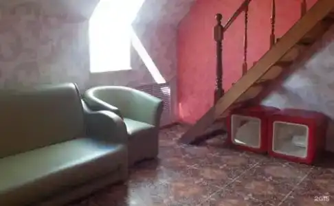 Вечер - 1