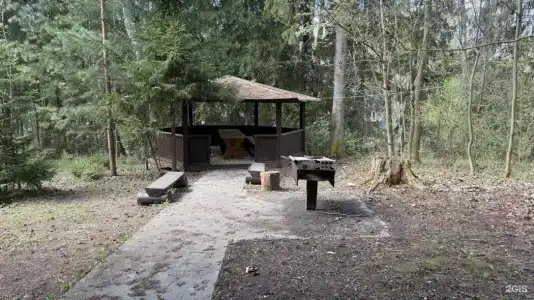 Солонцово - 69