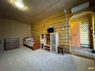 Лебедь - 25