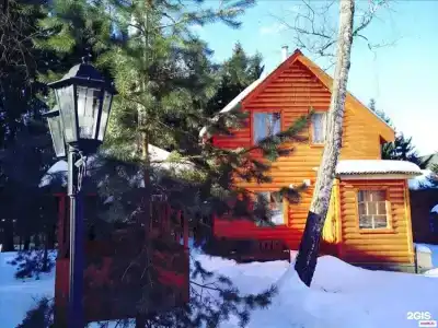 Березовая роща - 100