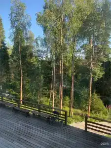 Русь - 258