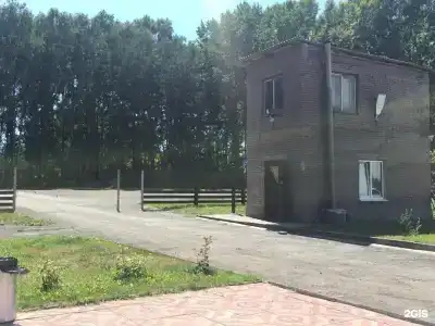 Медведь - 21
