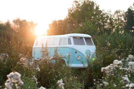 Hippy - 47