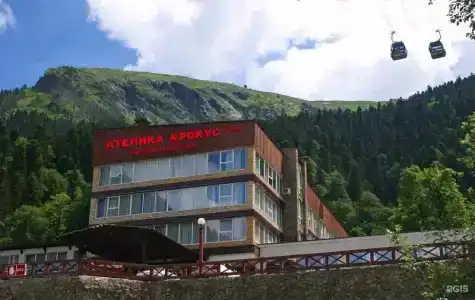 Крокус - 0