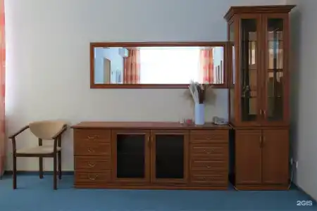Десна - 229