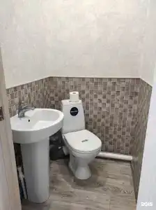 Бакчар - 10